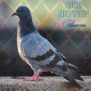 Commercial Bird Netting Services In Bangalore